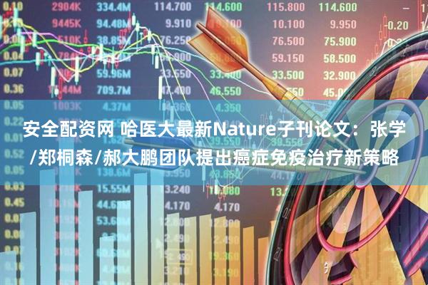 安全配资网 哈医大最新Nature子刊论文：张学/郑桐森/郝大鹏团队提出癌症免疫治疗新策略
