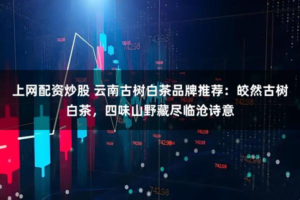上网配资炒股 云南古树白茶品牌推荐：皎然古树白茶，四味山野藏尽临沧诗意